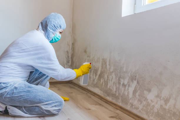Mold inspector in Hydes performing thermal imaging